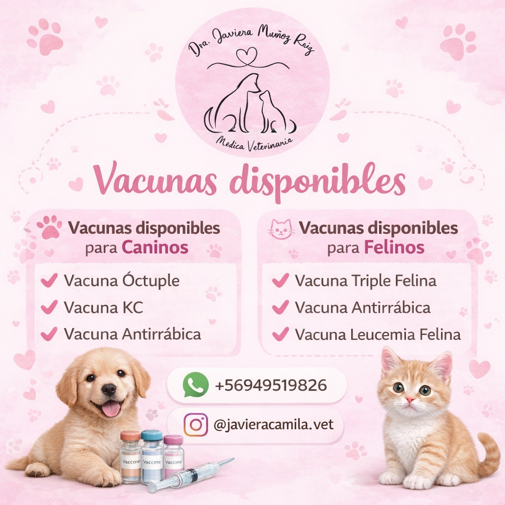 Imagen del servicio