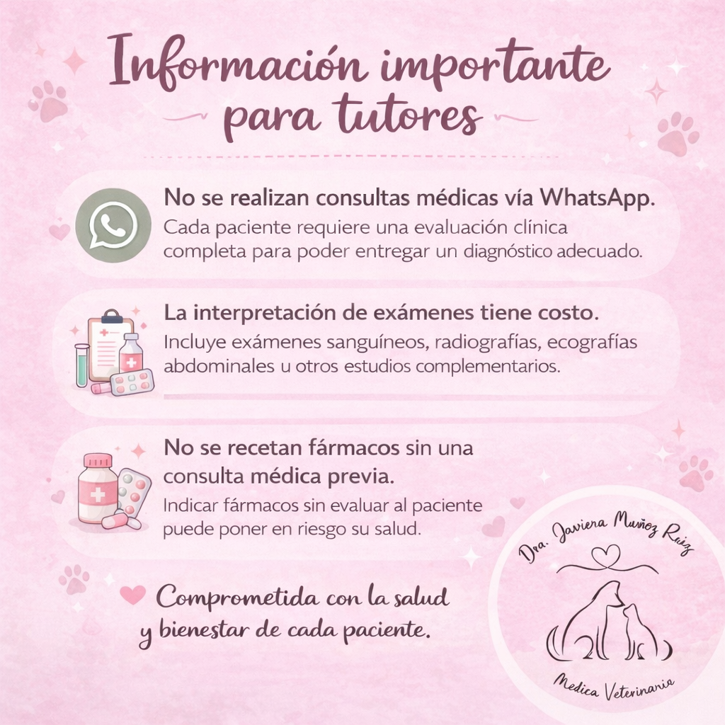 Imagen del servicio