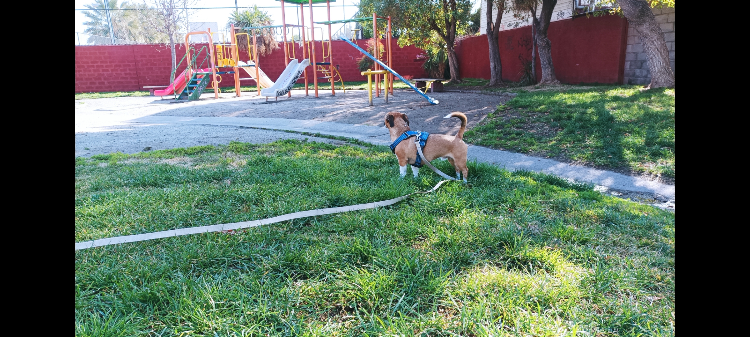 Imagen del servicio