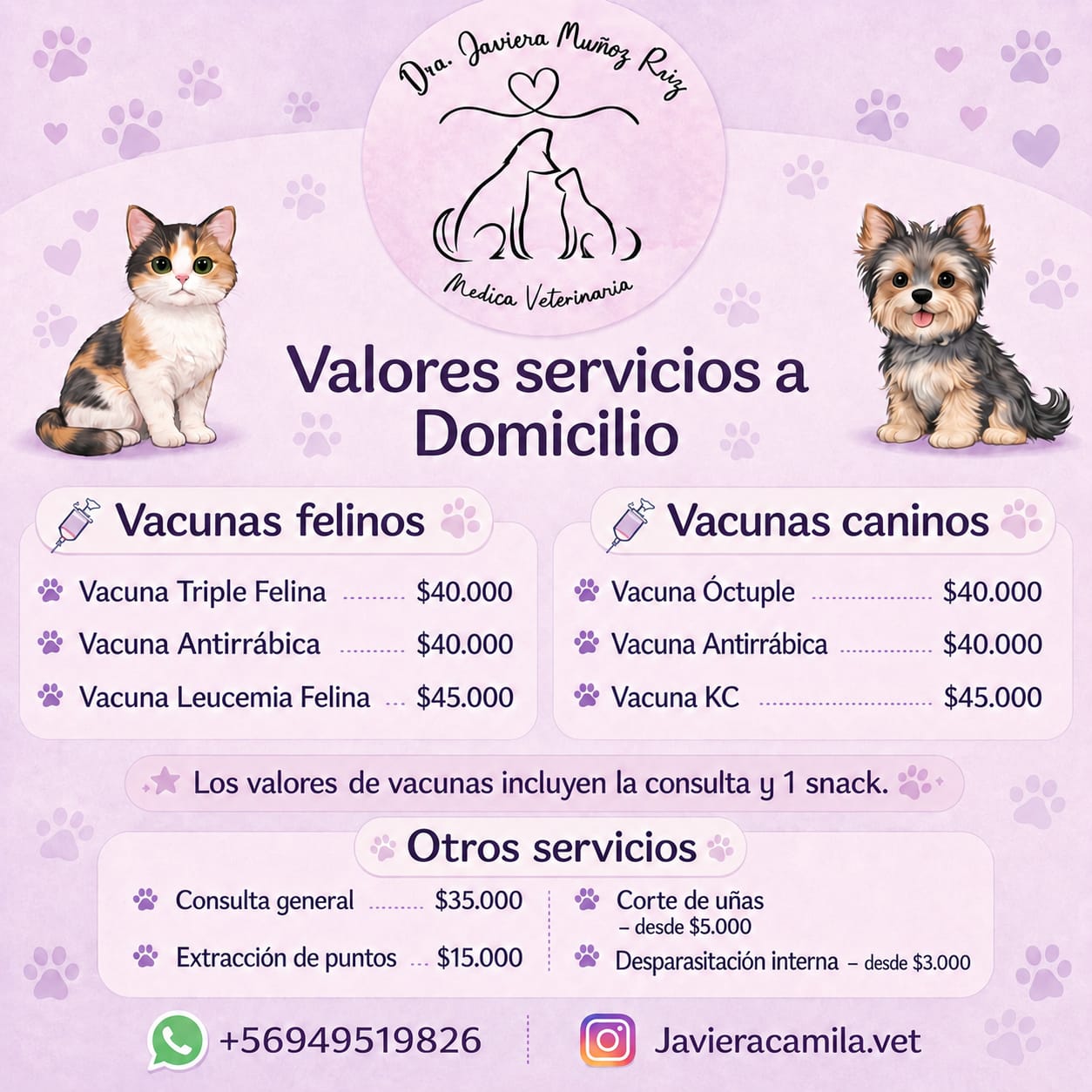 Imagen del servicio