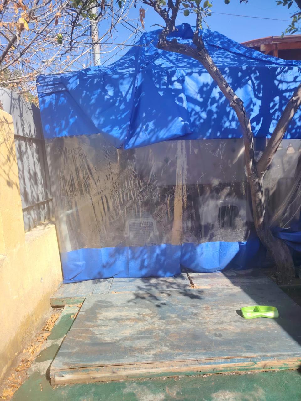 Imagen del servicio