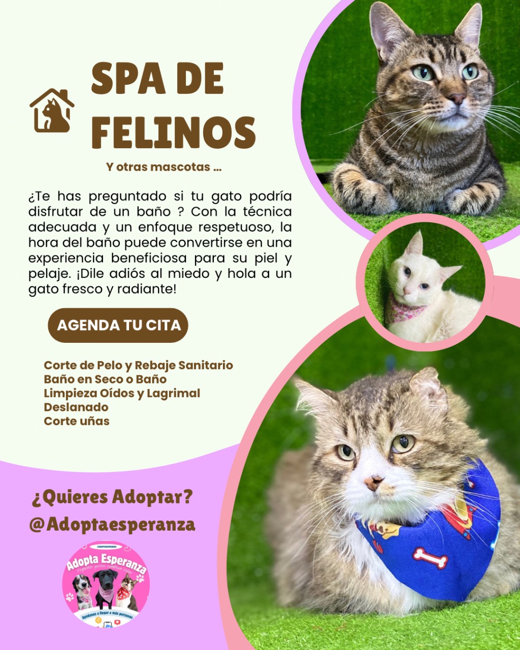 Imagen del servicio