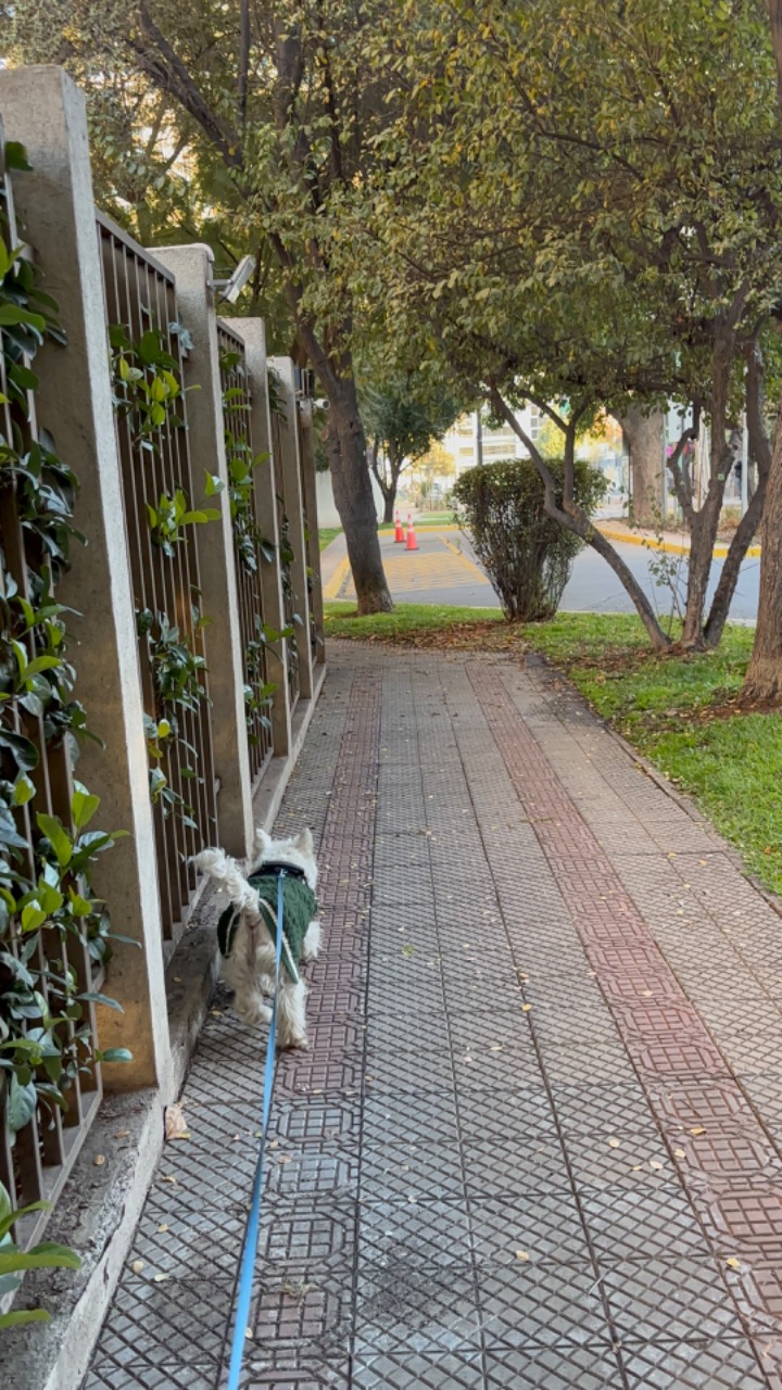 Imagen del servicio