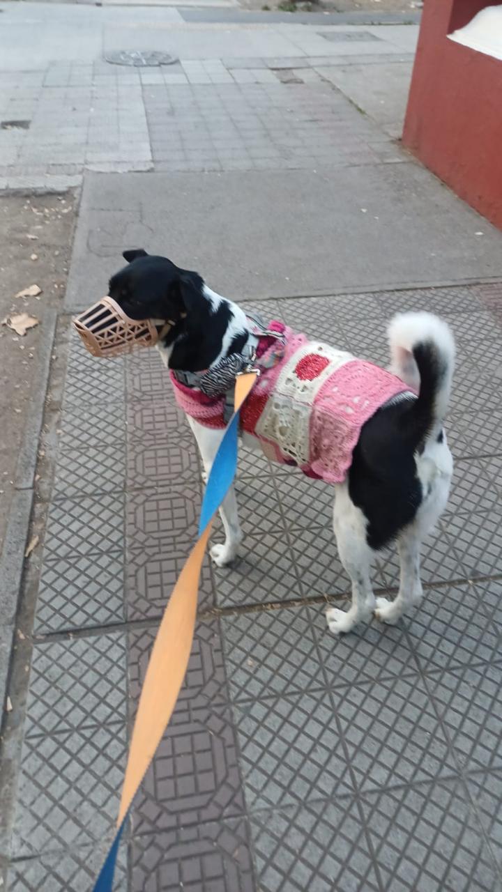 Imagen del servicio