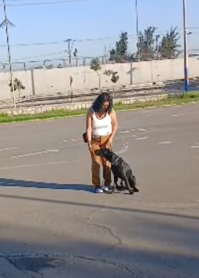 Imagen del servicio