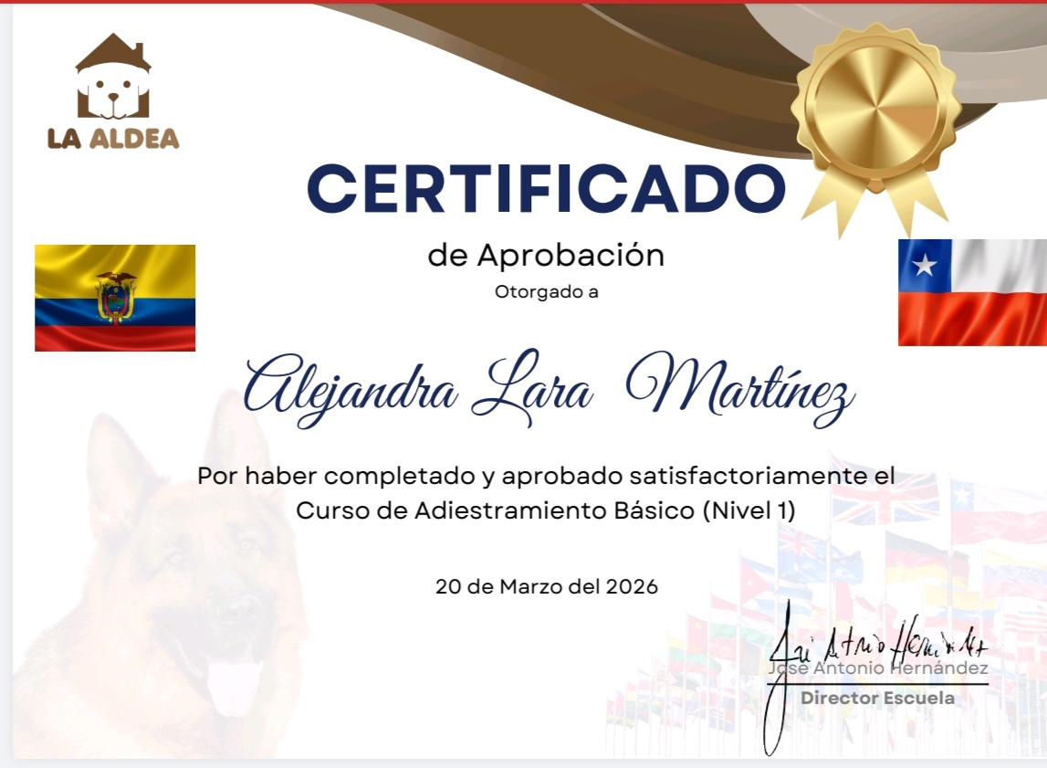 Imagen del servicio